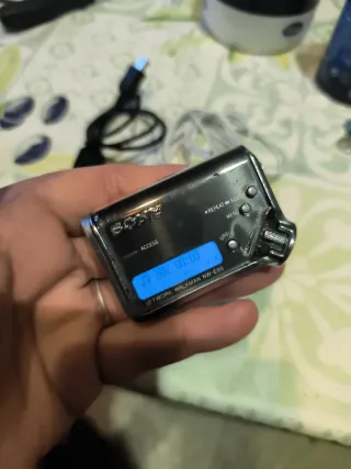 Walkman Sony NW-E95 Negro/Plateado