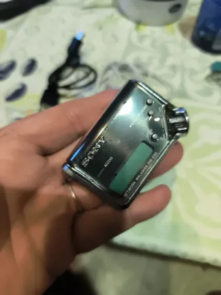 Walkman Sony NW-E95 Negro/Plateado