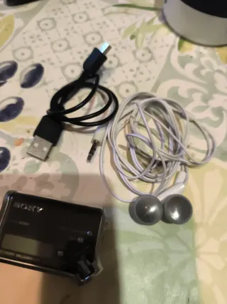 Walkman Sony NW-E95 Negro/Plateado