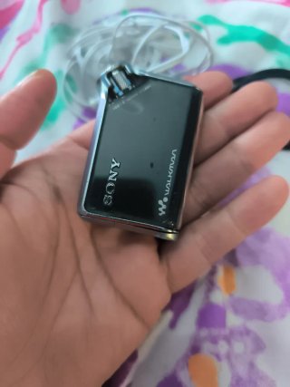 Walkman Sony NW-E95 Negro/Plateado