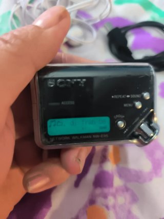 Walkman Sony NW-E95 Negro/Plateado