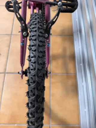 Bicicleta infantil morada 20 pulgadas