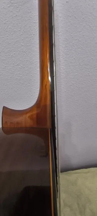 Guitarra Admira Princesa