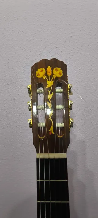 Guitarra Admira Princesa