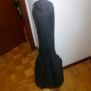 Guitarra Eléctrica Superestrato