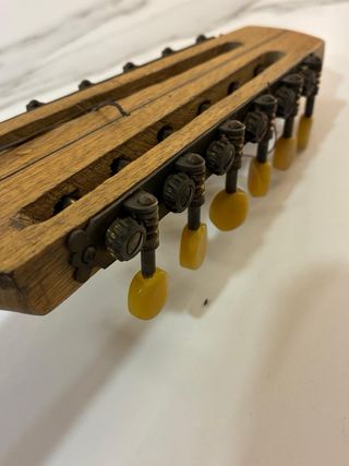 Banjo Parisiana con funda