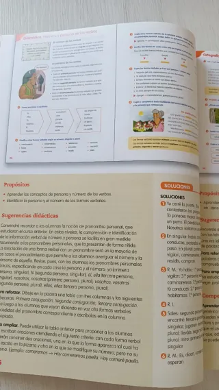 Lengua castellana, 4 Primaria Proyecto Los Cami...