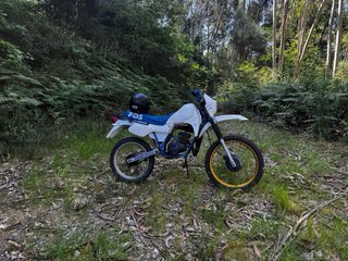 Derbi FDS Restaurada “ultima oferta” urge venta