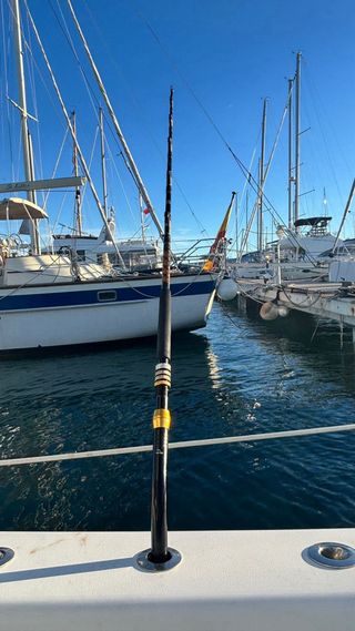 Cañas de atún con mangos curvos