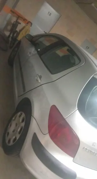 Peugeot 307 2024