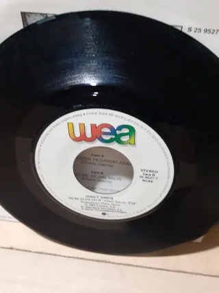 Charly García - Nos Siguen Pegando Abajo (Single).
