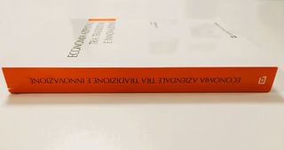 Economia Aziendale Tra Tradizione E Innovazione
