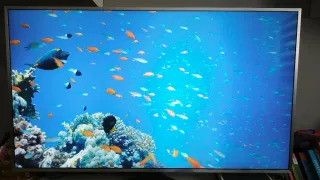 Smart TV Samsung 49 4K