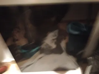 Placa Inducción Beko