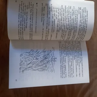 Alicia En El Pais De Las Adivinanzas / Alice in...