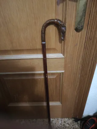 Bastón antiguo con empuñadura hecha de raíz galgo.