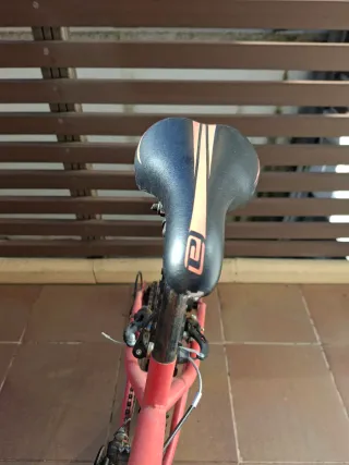 Bicicleta Anakon 24" niña 9-12 años