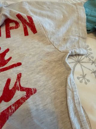 Camiseta Superdry Beige