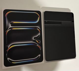 iPad Pro 11 M5 256GB (Como nuevo)