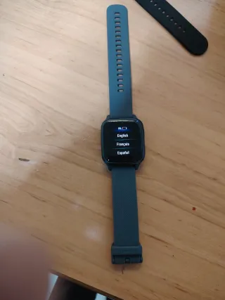 Smartwatch Garmin Gris