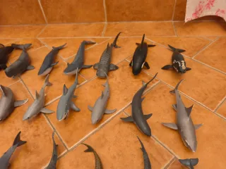 Animales Schleich Marinos