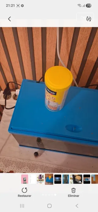 Acuario completo con decoración