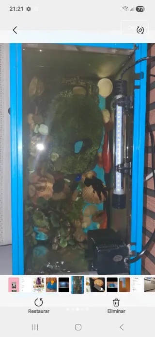 Acuario completo con decoración