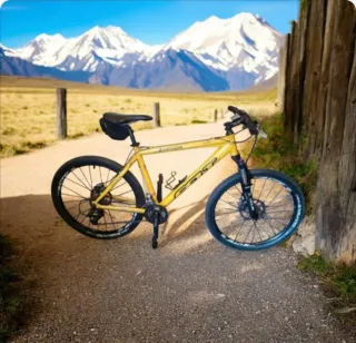 Bicicleta Montaña Felt