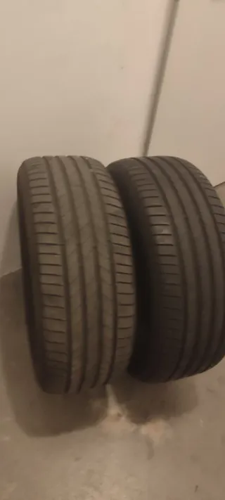 Neumáticos Bridgestone 225/55/17 101W Eliten 6