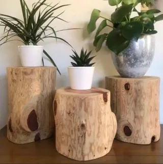 Troncos de pino para mesas/taburetes
