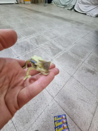 Kamaleon & Co Flex Caucho Figuras