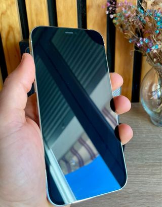 iPhone 12 Pro 128 GB Plata