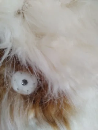 Cazadora pelo Stradivarius Talla M nueva