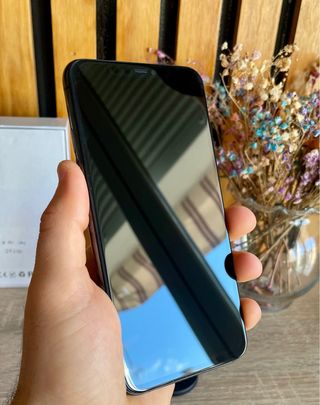 iPhone 11 Pro Max 256 GB gris