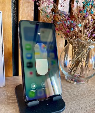 iPhone 11 Pro Max 256 GB gris