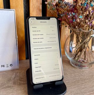 iPhone 11 Pro Max 256 GB gris