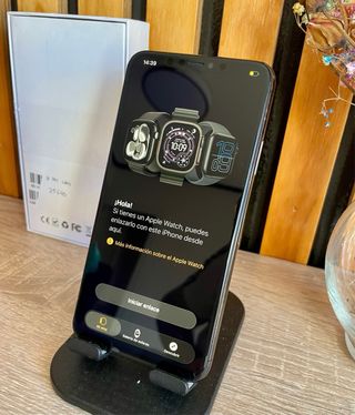 iPhone 11 Pro Max 256 GB gris