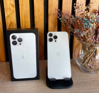 iPhone 13 Pro Max 256GB Bianco