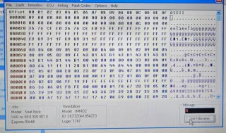 Clonado y casado de cuadros ibiza / Córdoba 99/01