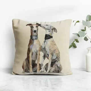 Pack 2 fundas cojín 45x45