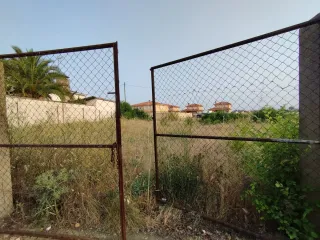 Desbroce de parcelas profesional en Torrelodones