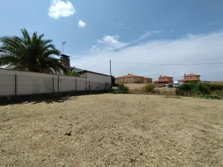 Desbroce de parcelas profesional en Torrelodones