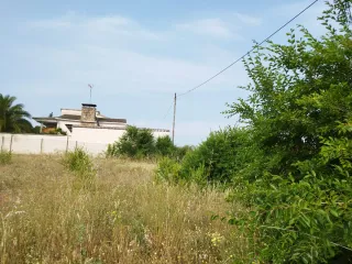 Desbroce de parcelas profesional en Torrelodones