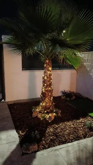 Desbroce de parcelas profesional en Torrelodones