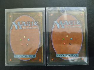 Magic The Gathering Savannah & Underground Sea