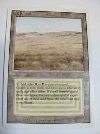 Magic The Gathering Savannah & Underground Sea