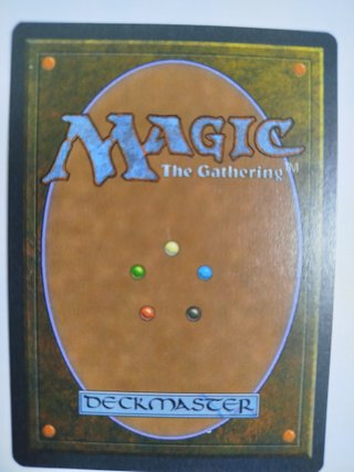 Magic The Gathering Savannah & Underground Sea