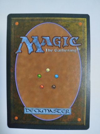 Magic The Gathering Savannah & Underground Sea