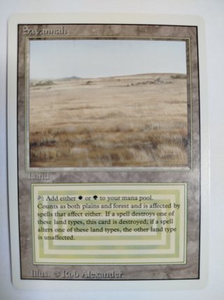 Magic The Gathering Savannah & Underground Sea