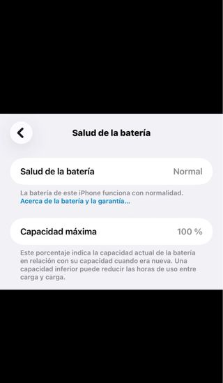iPhone 16 Pro Max Plata/Gris Espacial
